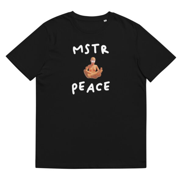 Peace Within t-shirt 1